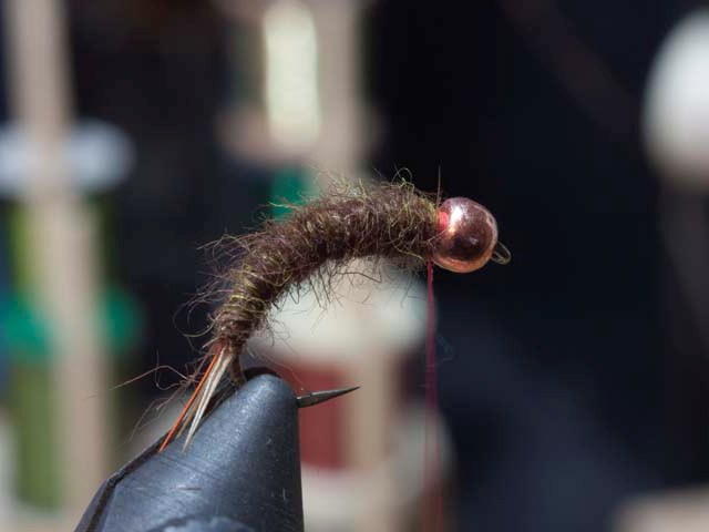 Prince Nymph