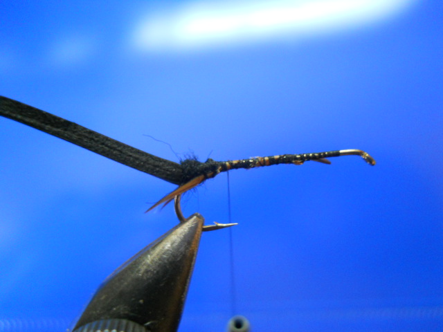 RM Stonefly