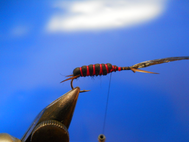 RM Stonefly