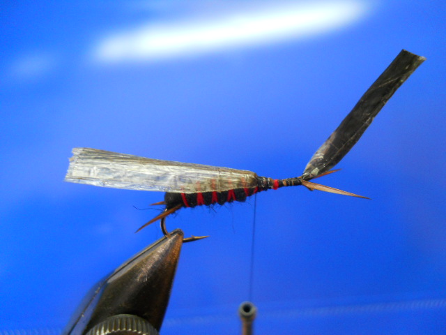 RM Stonefly