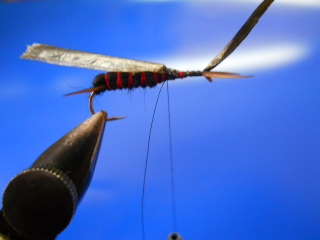 RM Stonefly