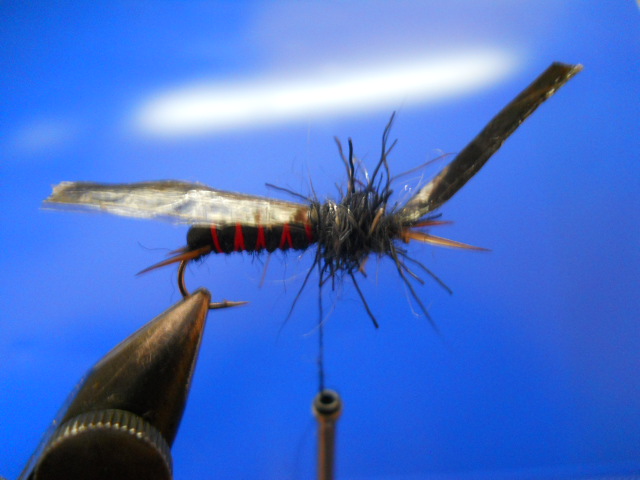 RM Stonefly