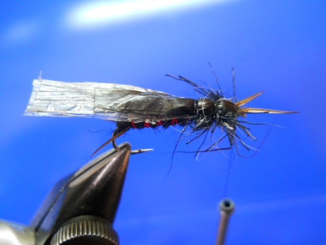 RM Stonefly