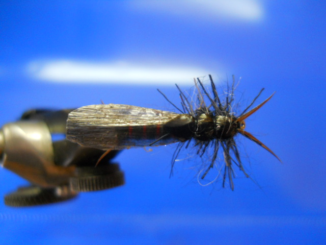 RM Stonefly