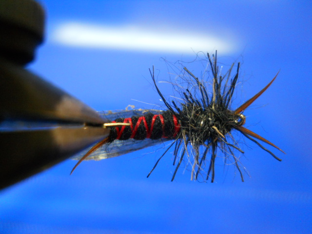 RM Stonefly