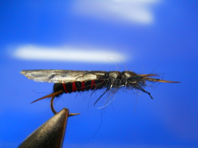 RM Stonefly