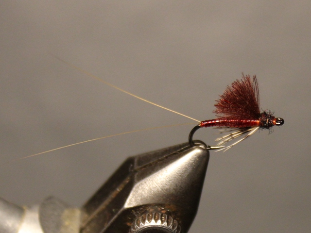 RS-2 Emerger