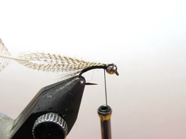 RW40