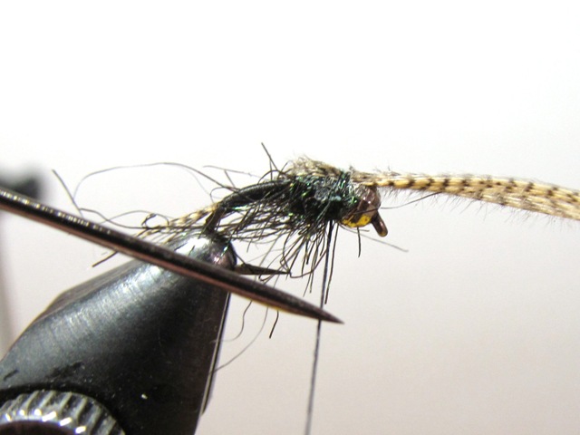 RW40