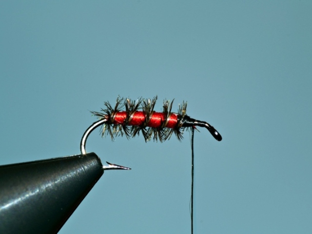 Red SBF