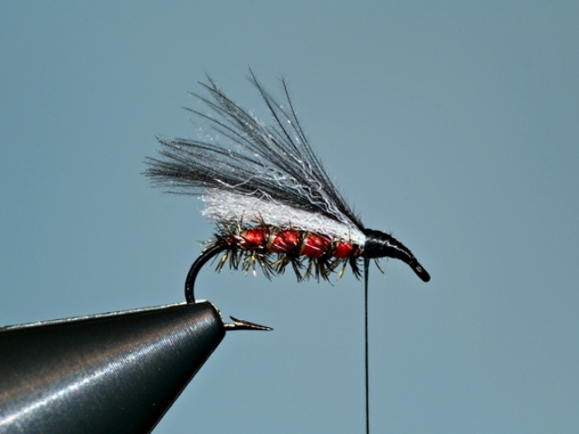 Red SBF