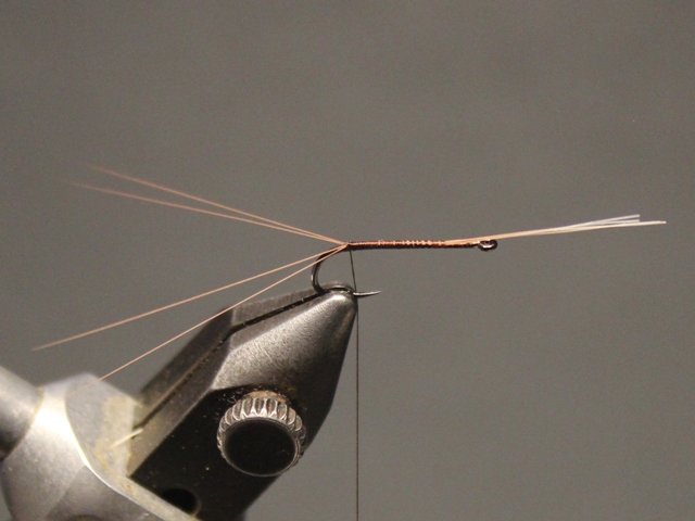 Soft Hackle Spinner