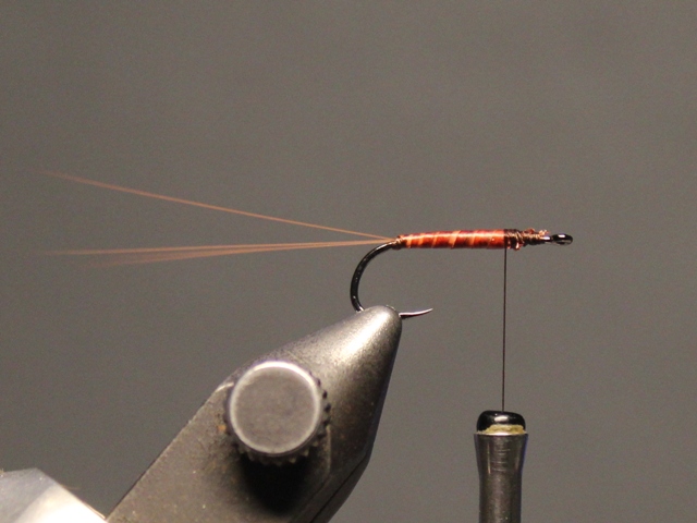 Soft Hackle Spinner