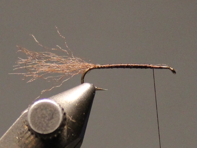 Stillborn Emerger