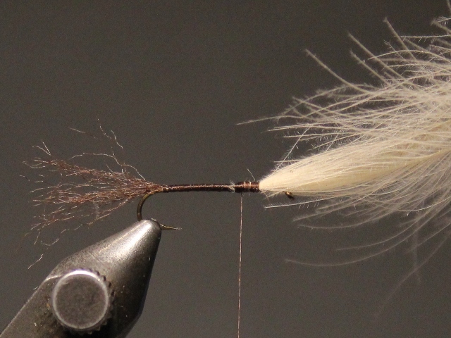 Stillborn Emerger