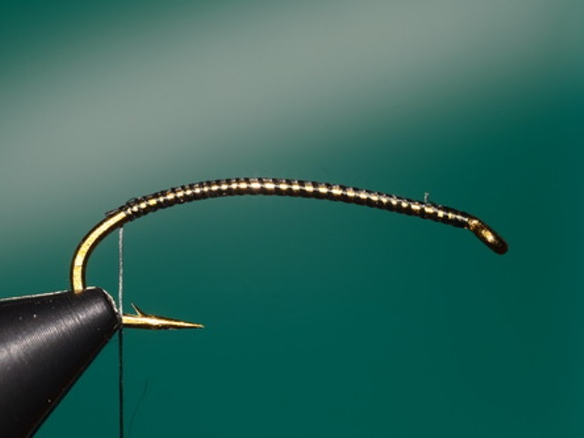 Stone Fly Nymph