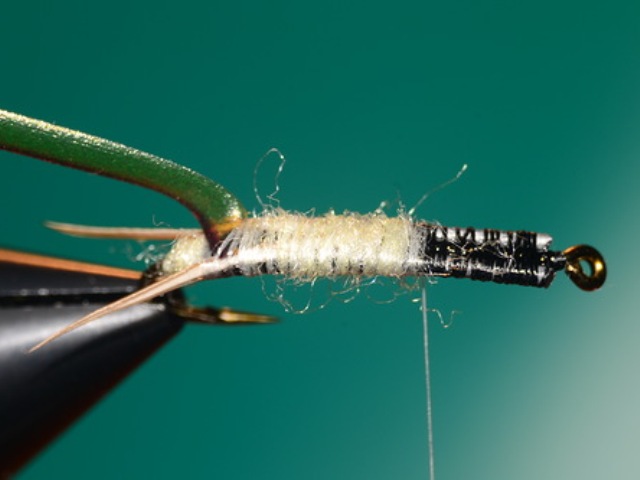Stone Fly Nymph