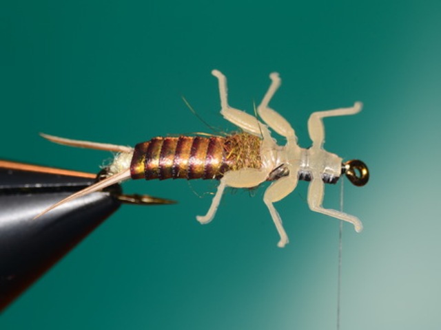 Stone Fly Nymph
