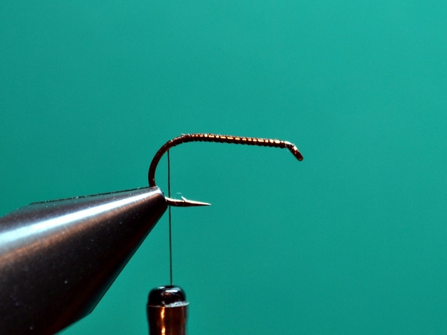 Stonefly