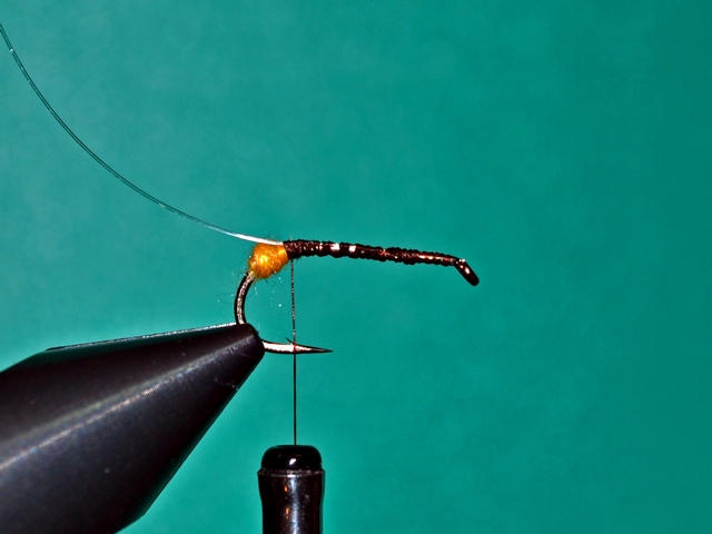Stonefly