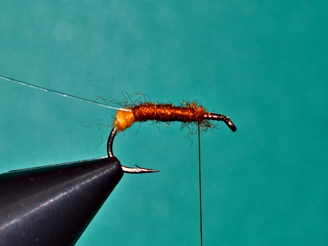 Stonefly