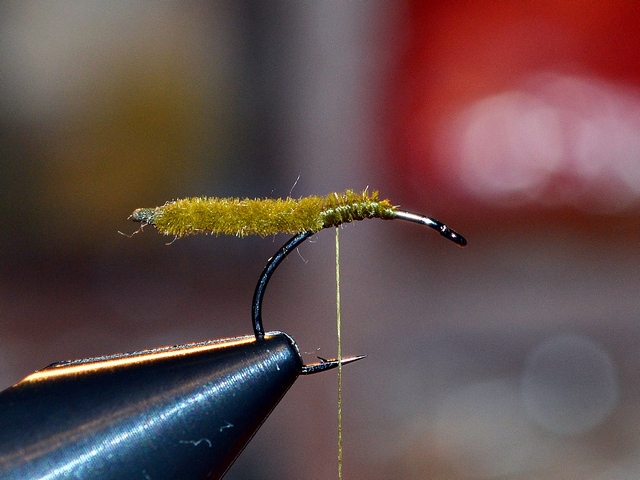 Thick Wing Caddis EB
