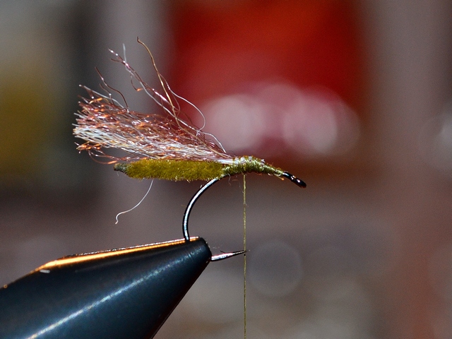 Thick Wing Caddis EB