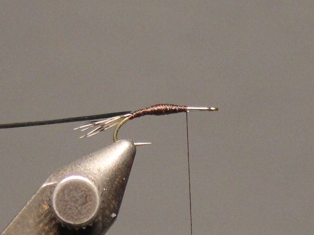 Trico Nymph