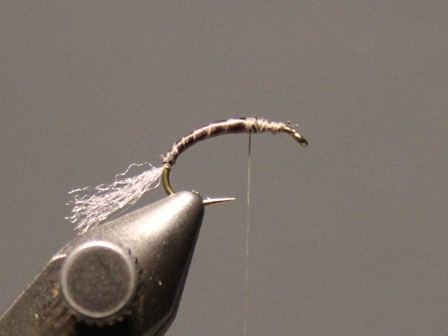 Twisted Hackle Emerger