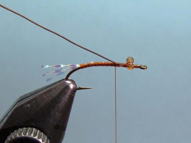 WING BUD EMERGER