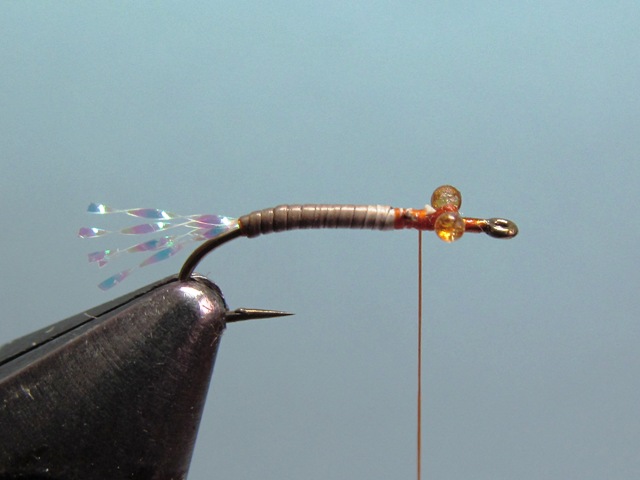 WING BUD EMERGER