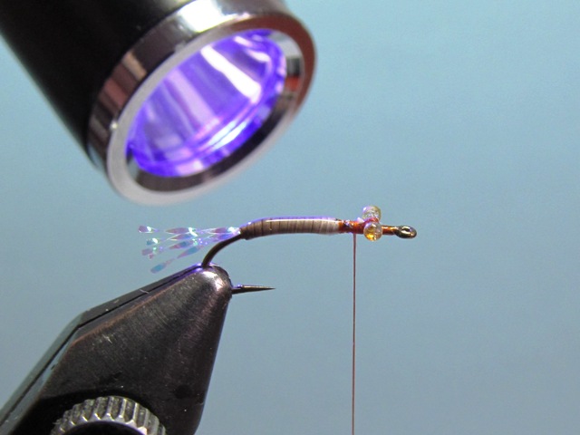WING BUD EMERGER
