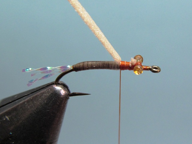 WING BUD EMERGER