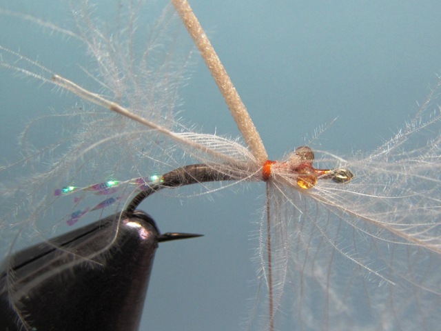 WING BUD EMERGER