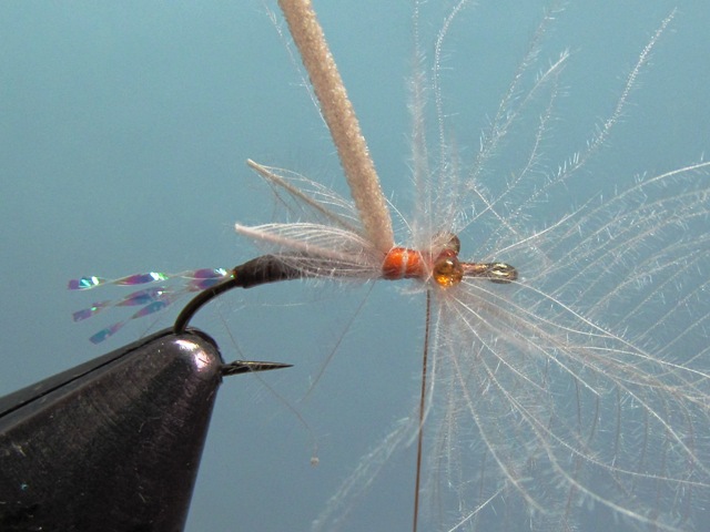 WING BUD EMERGER