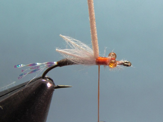 WING BUD EMERGER