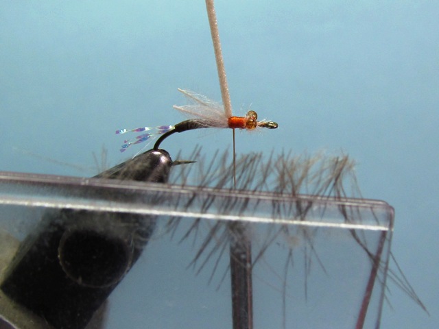 WING BUD EMERGER