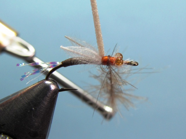 WING BUD EMERGER
