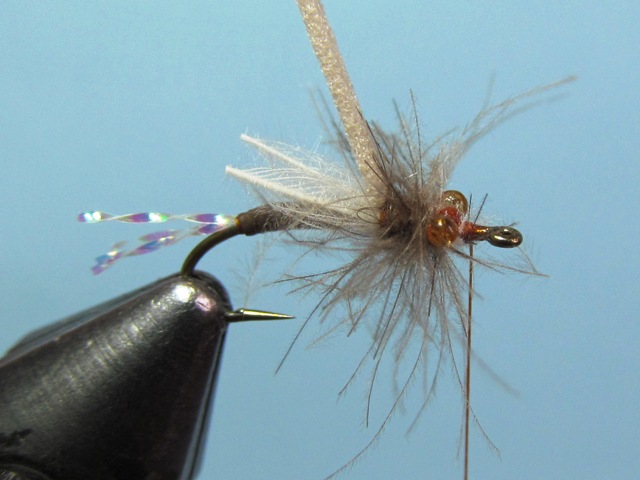 WING BUD EMERGER