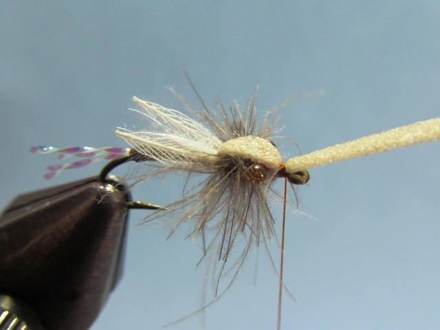 WING BUD EMERGER
