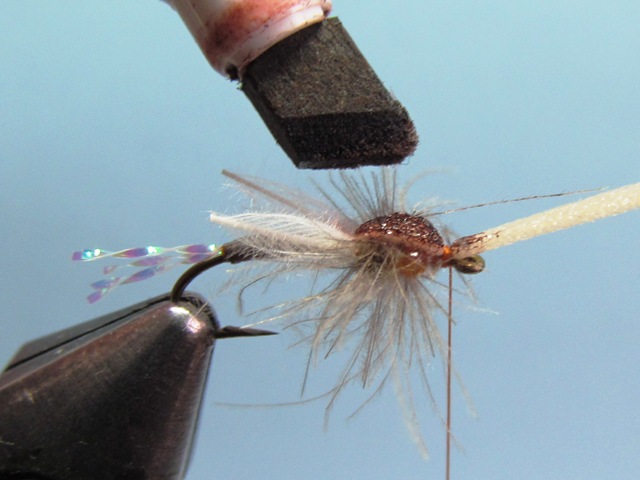 WING BUD EMERGER