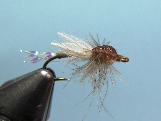 WING BUD EMERGER