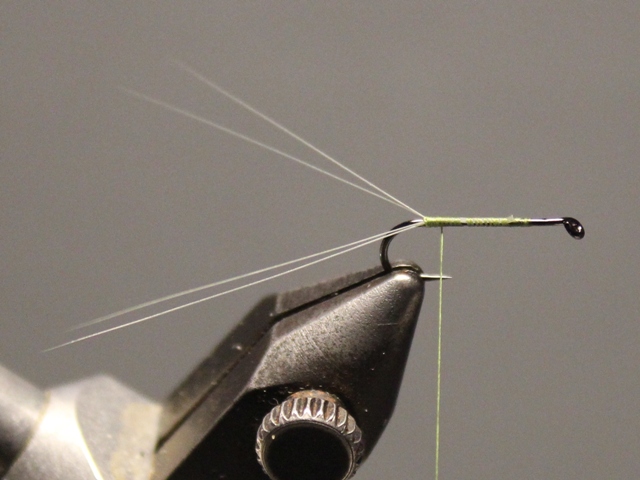 Winger Parachute