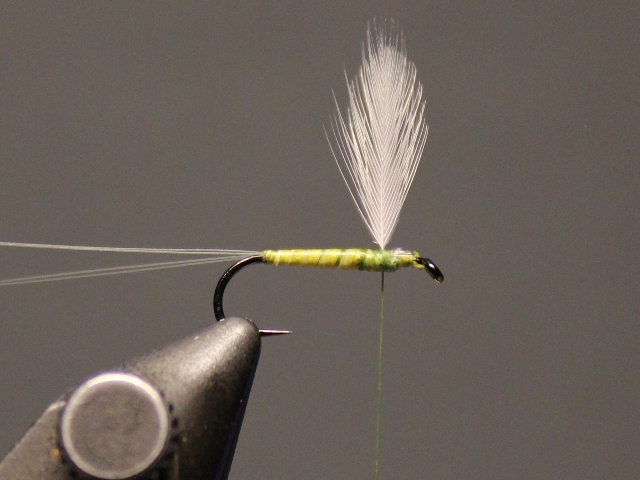 Winger Parachute
