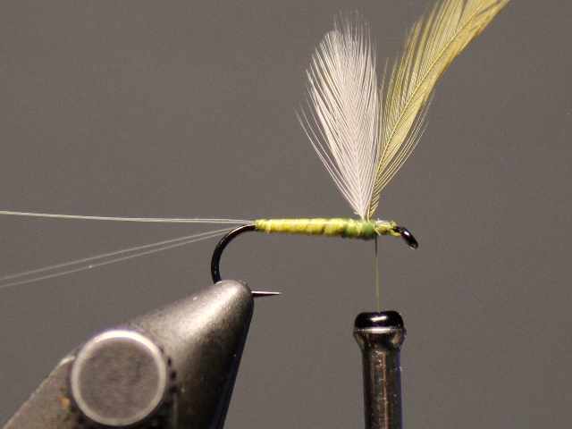 Winger Parachute