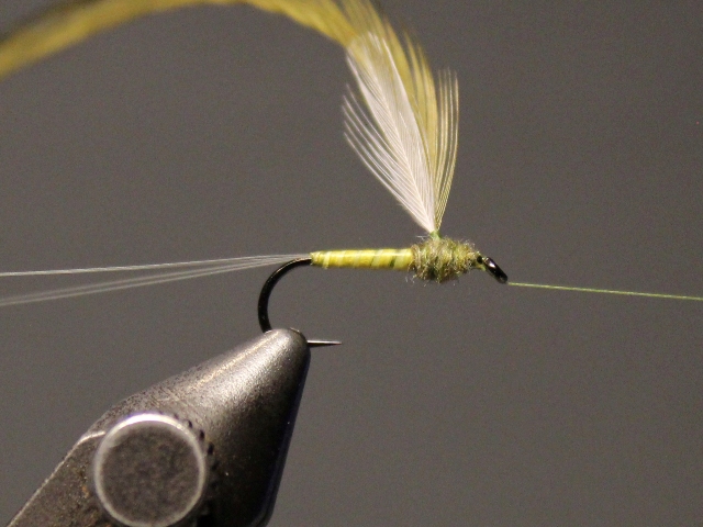 Winger Parachute