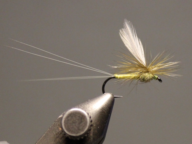 Winger Parachute
