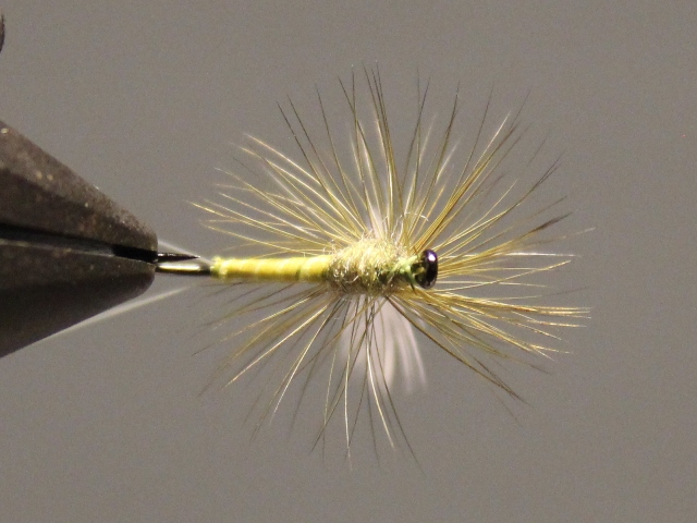 Winger Parachute
