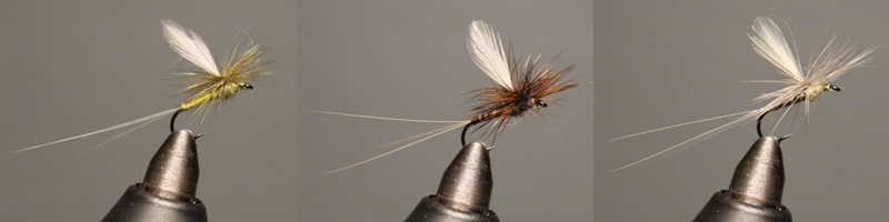 Winger Parachute