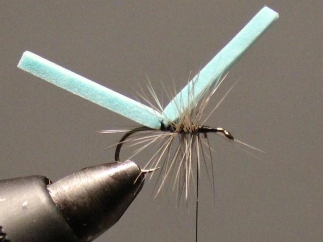 Adult Damsel